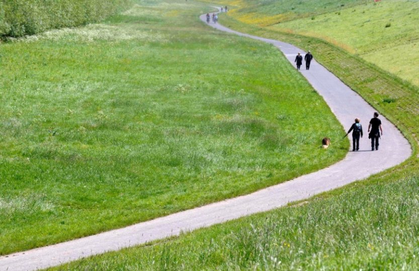 Méně než 5000 kroků denně stačí k posílení zdraví, tvrdí studie