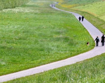 Méně než 5000 kroků denně stačí k posílení zdraví, tvrdí studie