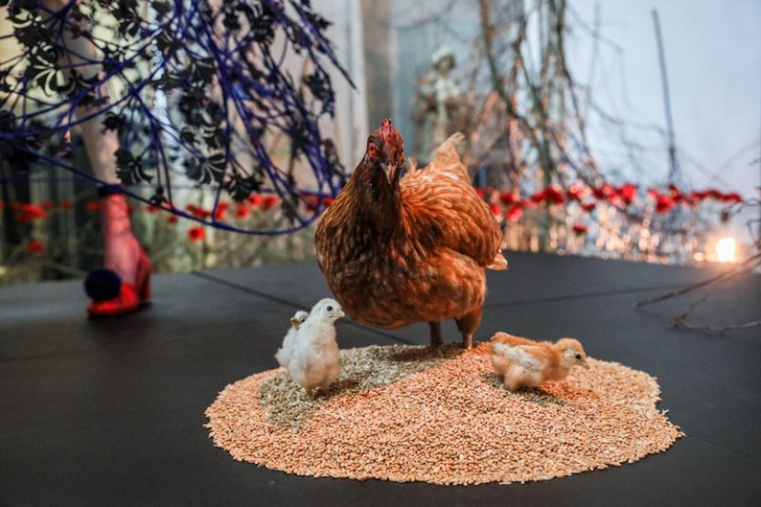 Florista v Brně vystavuje květinové šaty obklopené trním, karafiáty i drůbeží