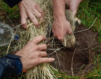 Syslům se na letišti v Hodkovicích n. M. se daří, z původních 20 už je přes 200