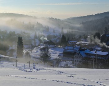 Mráz na jihu Čech poškodil kromě ovoce zřejmě i obiloviny a řepku