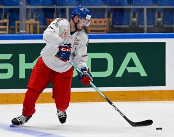 Udělal jsem dobrý krok, hodnotil Zadina odchod z Detroitu do San Jose