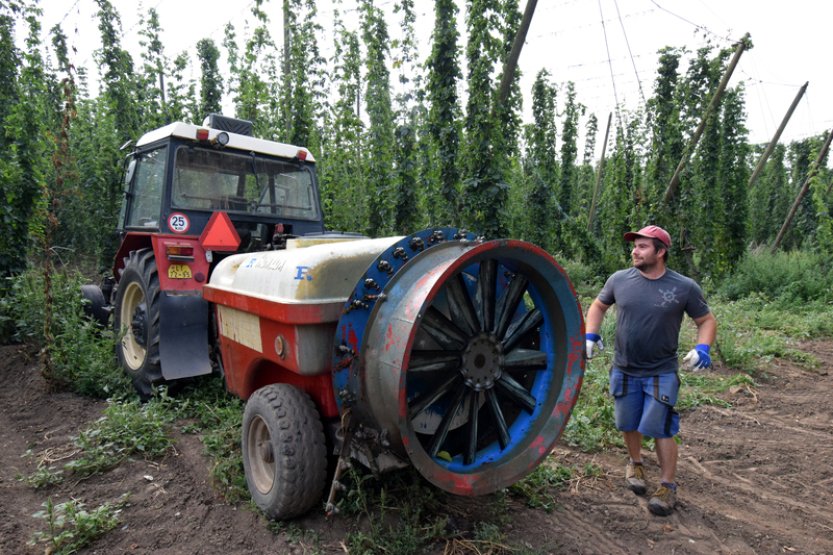 Účinnost přípravků proti škůdcům klesá, uvedl výzkumník