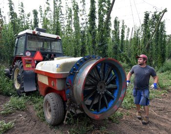 Účinnost přípravků proti škůdcům klesá, uvedl výzkumník