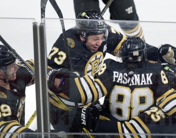 Vzal jsem to jako chlap, řekl Pastrňák ke kritice