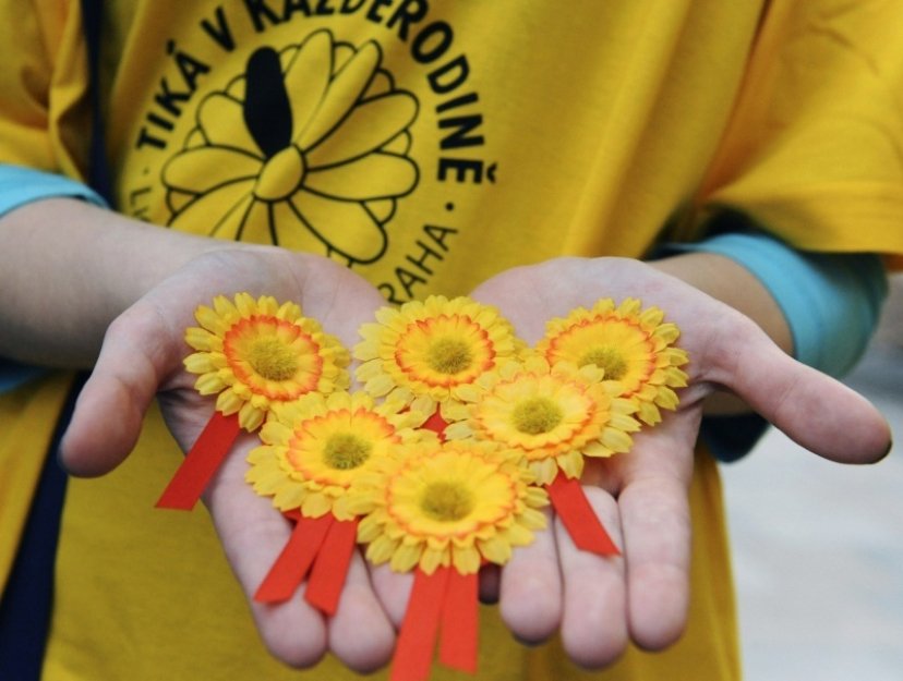 Sbírka proti rakovině se letos zaměří na prevenci nádorů prsu