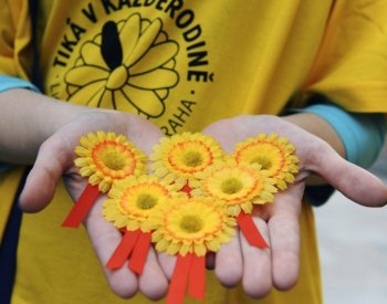 Sbírka proti rakovině se letos zaměří na prevenci nádorů prsu