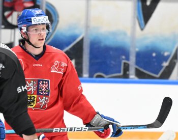 Po Kämpfově příjezdu vypadl z kádru hokejistů pro MS Kousal