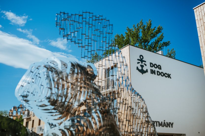 Ve Veselí nad Moravou stojí nová socha Davida Černého, část místních pobouřila