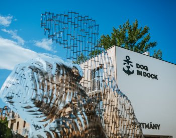 Ve Veselí nad Moravou stojí nová socha Davida Černého, část místních pobouřila