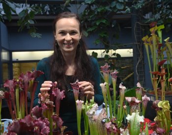Na výstavě v Olomouci budou k vidění masožravé liány i 30 let staré rostliny