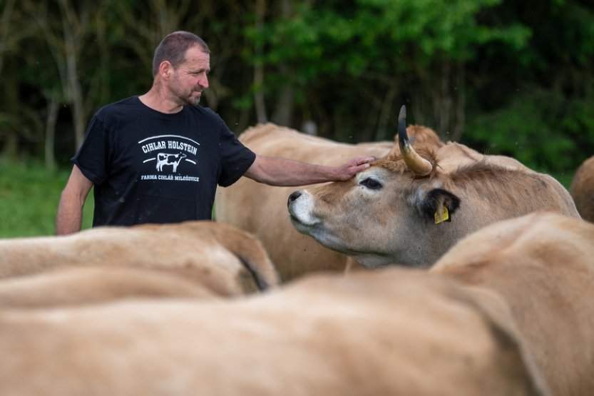 Oceňovaná farma chce vybudovat nový chlév, bourárnu a obchod