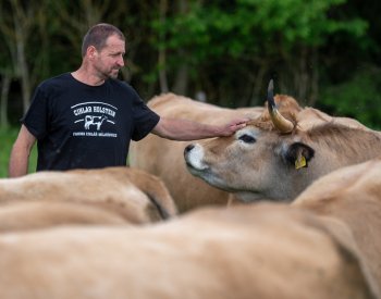Oceňovaná farma chce vybudovat nový chlév, bourárnu a obchod