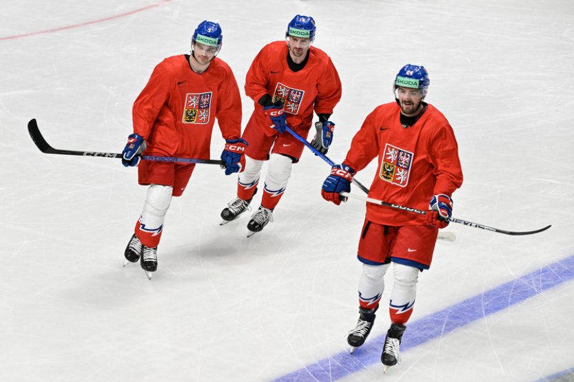 Ščotka se ve finále chystal podporovat spoluhráče, nakonec se dostal i na led