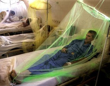 Odborník: Tropickými nemocemi se lze nakazit i v Evropě, může za to oteplování