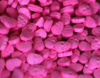 Poradci amerického úřadu pro kontrolu léčiv nedoporučili léčbu psychedeliky