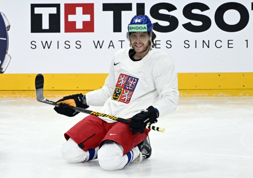 Mezi finalisty Zlaté hokejky jsou obhájce Pastrňák a dalších sedm šampionů z MS