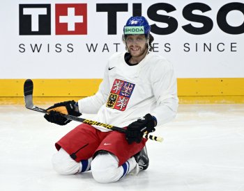 Mezi finalisty Zlaté hokejky jsou obhájce Pastrňák a dalších sedm šampionů z MS