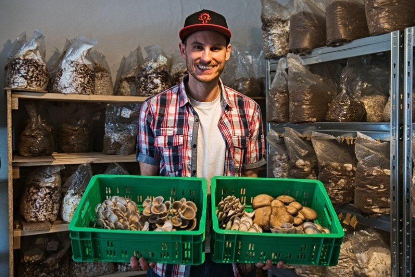 Za covidu začal pěstovat houby v garáži v Brně, poptávka stále roste