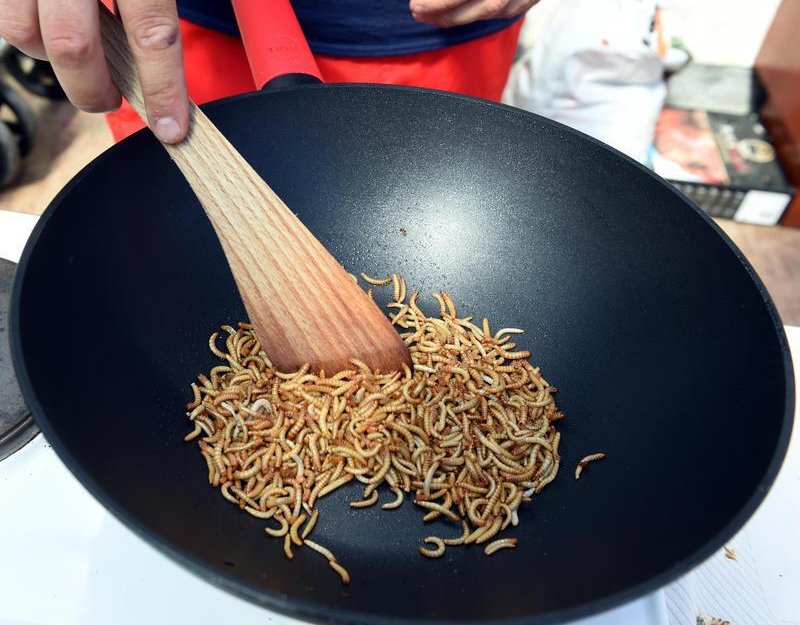 Vědci: Masné výrobky s přídavkem hmyzích bílkovin mají lepší výživové hodnoty