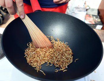 Vědci: Masné výrobky s přídavkem hmyzích bílkovin mají lepší výživové hodnoty