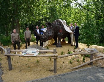 Berlín bude spolu s Dvorem Králové místem záchrany nosorožce bílého severního