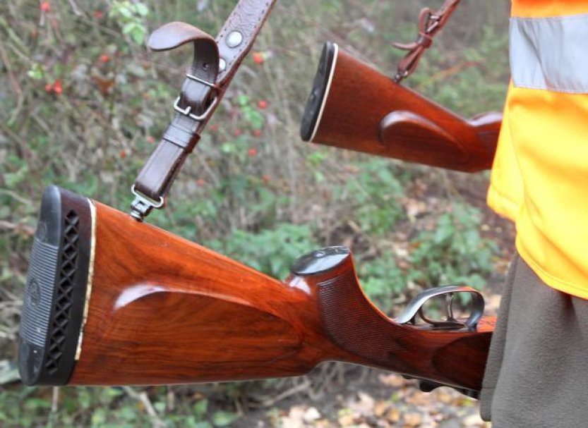 Stát bude myslivcům určovat minimální lov zvěře