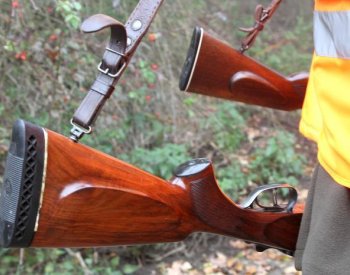 Stát bude myslivcům určovat minimální lov zvěře