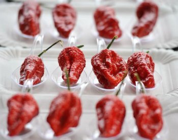 SZPI s celníky dala zlikvidovat přes tunu chilli papriček z Vietnamu