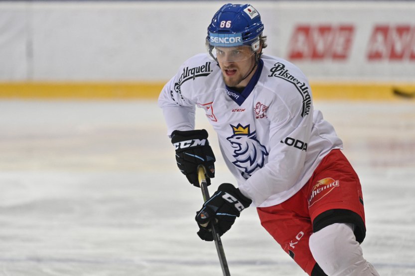 Hokejisty Pardubic posílí reprezentační útočník Smejkal