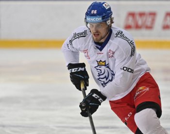 Hokejisty Pardubic posílí reprezentační útočník Smejkal