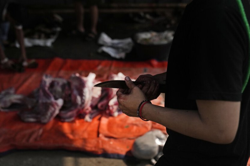 V Turecku se zranilo 16.000 muslimů při rituálním obětování zvířete