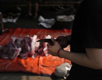 V Turecku se zranilo 16.000 muslimů při rituálním obětování zvířete