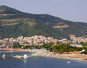 Na Jadranu se kvůli oteplování moře šíří jedovatí `ohniví červi`