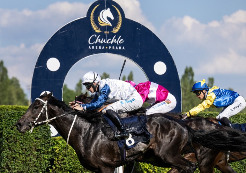 České derby vyhrál hnědák Naughty Peter s britským žokejem Kingscotem