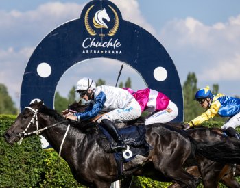 České derby vyhrál hnědák Naughty Peter s britským žokejem Kingscotem