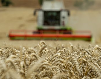 Výborný: Letošní sklizeň v ČR bude průměrná, možná lehce nadprůměrná