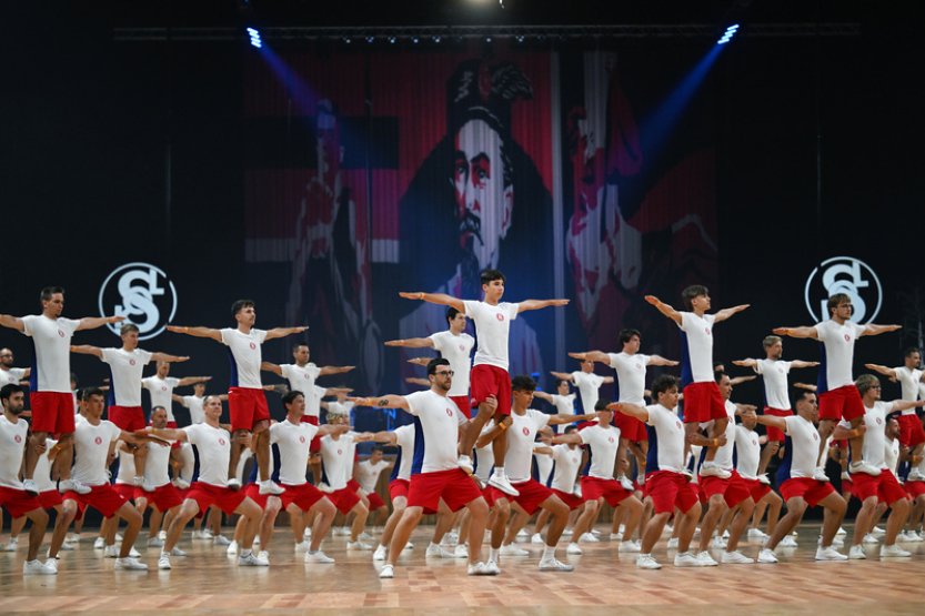 Sportovní výkony i vystoupení umělců dnes vyprávěly příběh Sokola