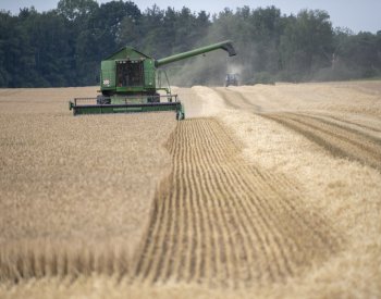 ČSÚ zveřejní první odhady sklizní, podle Výborného budou nadprůměrné