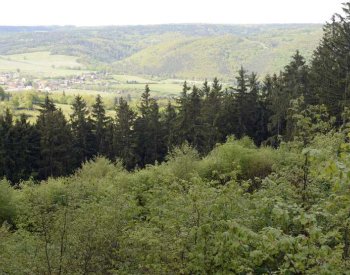 MŽP chce do konce července odeslat vládě návrh na vyhlášení NP Křivoklátsko