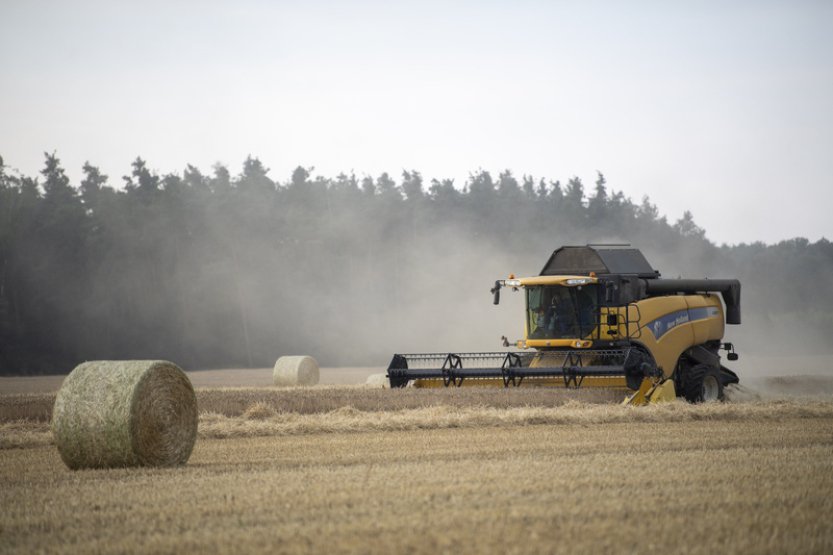Sklizeň obilnin začala o týden dřív než loni, zpomaluje ji místy silný déšť