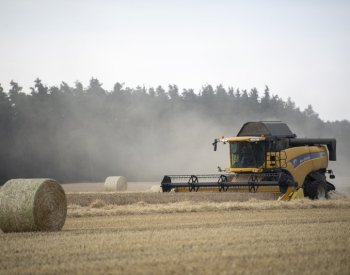 Sklizeň obilnin začala o týden dřív než loni, zpomaluje ji místy silný déšť