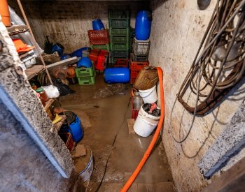 Řeka Kamenice je na třetím stupni, v Kamenici nad Lipou vytopila několik sklepů