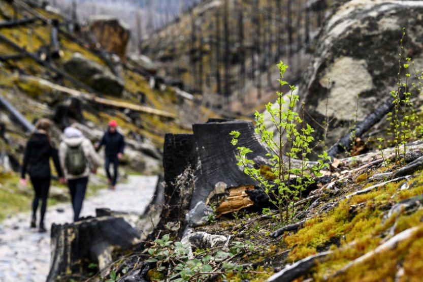 Hnutí Duha zahájilo poznávací exkurze do divoké přírody v České republice