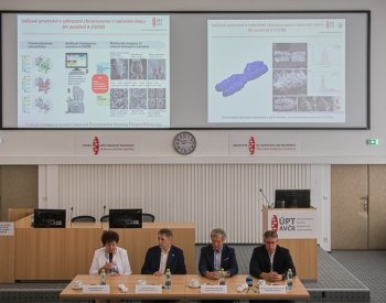 Čeští vědci poprvé zobrazili povrchovou strukturu chromozomu v přirozeném stavu