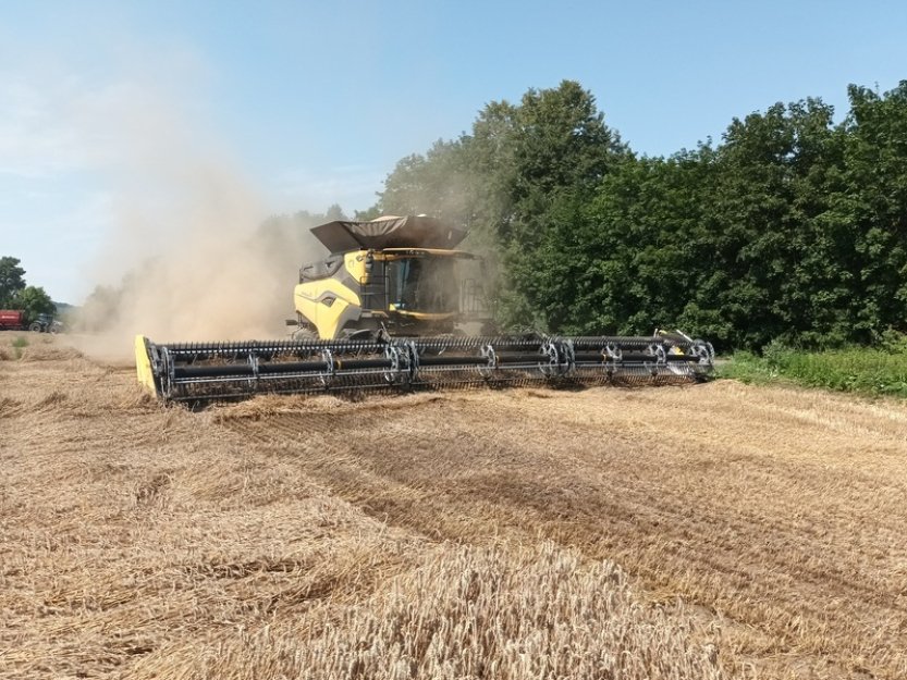 Do polí na Hané vyjel kombajn, který za hodinu sklidí až 100 tun obilí