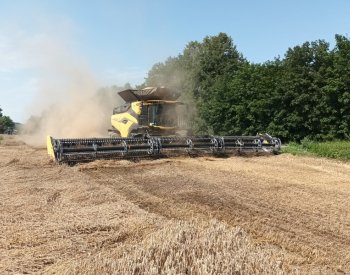 Do polí na Hané vyjel kombajn, který za hodinu sklidí až 100 tun obilí