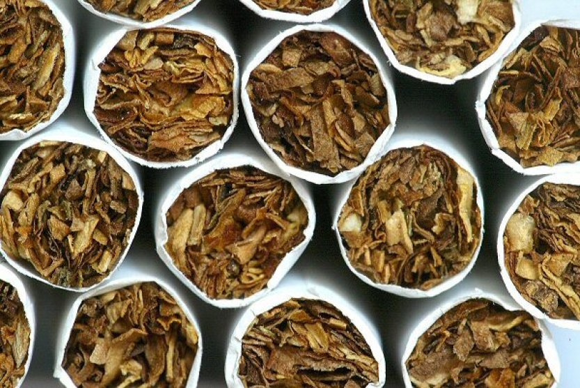 Čeští celníci za 20 let odhalili 47 nelegálních výroben tabákových výrobků
