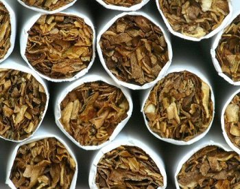 Čeští celníci za 20 let odhalili 47 nelegálních výroben tabákových výrobků