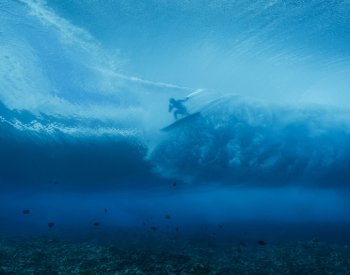Na australské pláži vyplavala noha surfaře, kterého pokousal bílý žralok